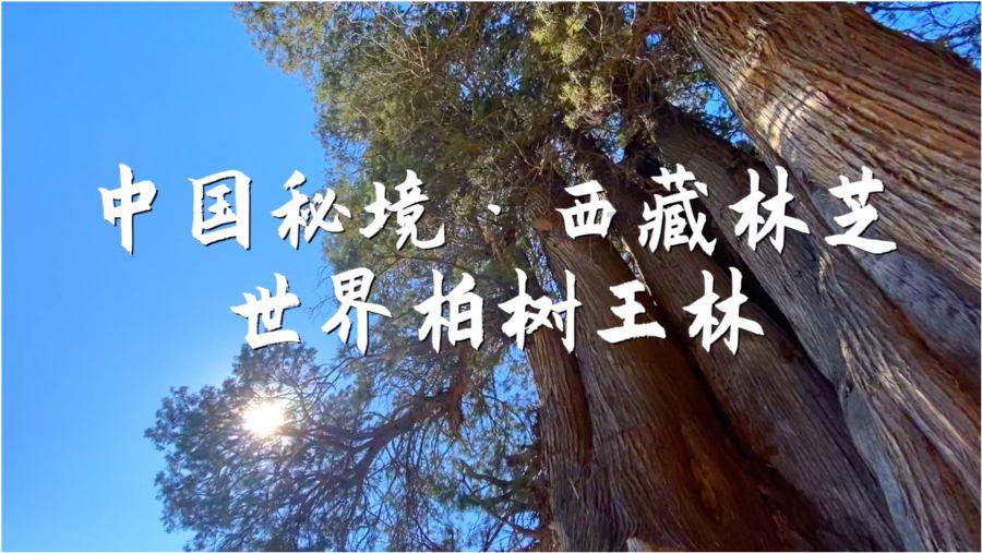 解答你疑问,尽在Rs.Open和Conn.Execute的区别!